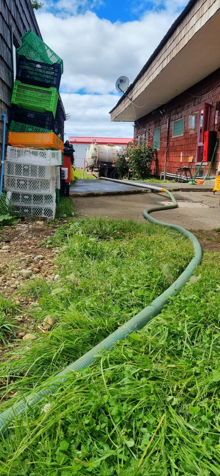 Mantenimiento de acumuladores de grasa en casino – Salmones de Chile